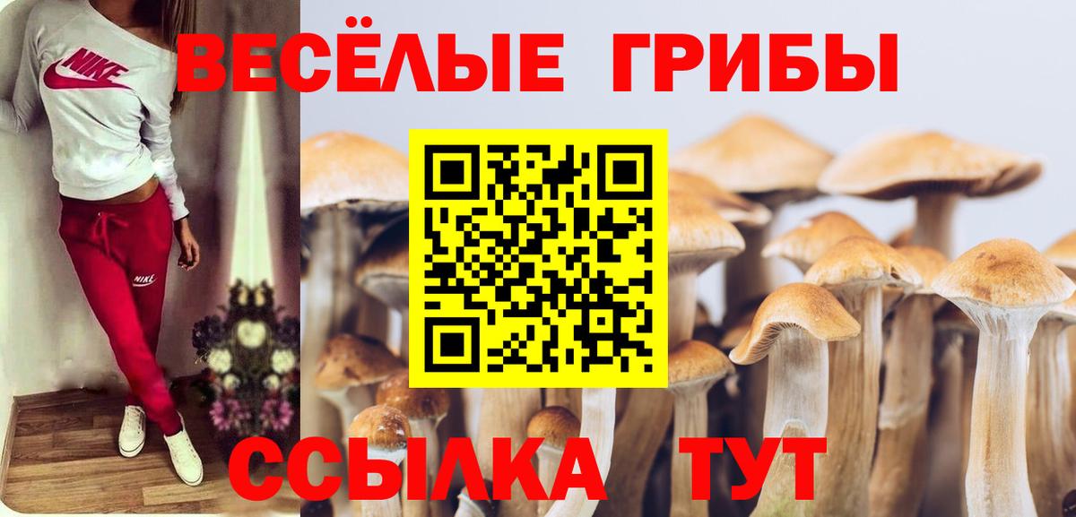Галлюциногенные грибы прущие грибы  Вход с VPN  Клин  Галлюциногенные грибы MAGIC MUSHROOMS 